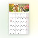 Kalendarz ścienny na lodówkę z magnesem 137mm x 210mm Press (MILUSIŃSCY) Kalendarz ścienny na lodówkę z magnesem 137mm x 210mm Press (MILUSIŃSCY)