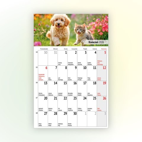 Kalendarz ścienny na lodówkę z magnesem 137mm x 210mm Press (MILUSIŃSCY) Kalendarz ścienny na lodówkę z magnesem 137mm x 210mm Press (MILUSIŃSCY)