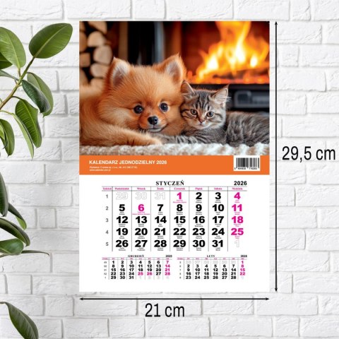 Kalendarz ścienny na lodówkę z magnesem 137mm x 210mm Press (MILUSIŃSCY) Kalendarz ścienny na lodówkę z magnesem 137mm x 210mm Press (MILUSIŃSCY)