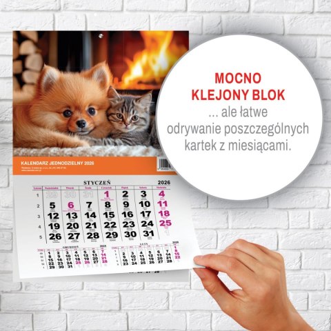 Kalendarz ścienny na lodówkę z magnesem 137mm x 210mm Press (MILUSIŃSCY) Kalendarz ścienny na lodówkę z magnesem 137mm x 210mm Press (MILUSIŃSCY)