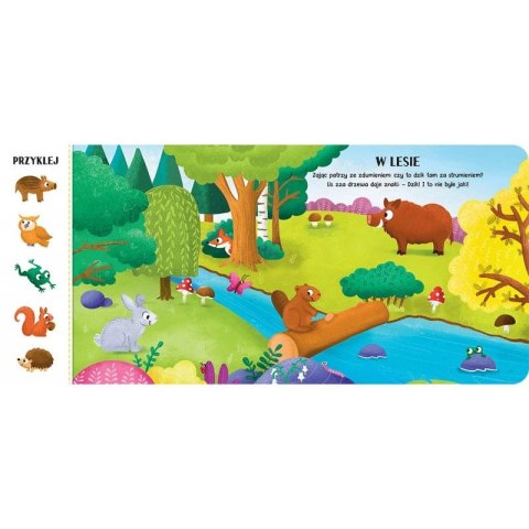 Książka dla dzieci zwierzęta Aksjomat