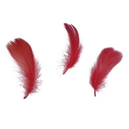 Piórka Craft-Fun Series czerwone Titanum