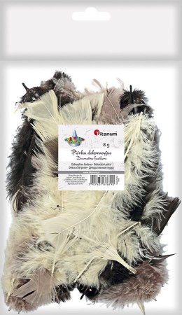 Piórka Craft-Fun Series mix Titanum (16079F)