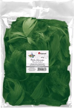 Piórka Craft-Fun Series zielony ciemny Titanum