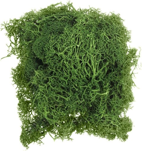 Dekoracja Craft-Fun Series dekoracja florystyczna mech chrobotek Titanum (2324045 DG) Dekoracja Craft-Fun Series dekoracja florystyczna mech chrobotek Titanum (2324045 DG)