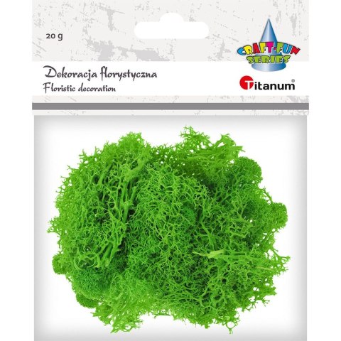 Dekoracja Craft-Fun Series dekoracja florystyczna mech chrobotek Titanum (2324045 LG) Dekoracja Craft-Fun Series dekoracja florystyczna mech chrobotek Titanum (2324045 LG)