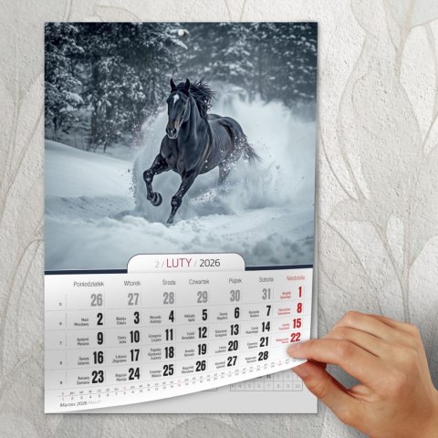 Kalendarz ścienny A4 KONIE A4 Press (5904830713398) Kalendarz ścienny A4 KONIE A4 Press (5904830713398)
