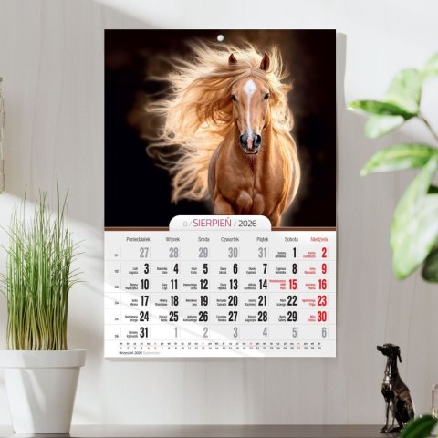 Kalendarz ścienny A4 KONIE A4 Press (5904830713398) Kalendarz ścienny A4 KONIE A4 Press (5904830713398)