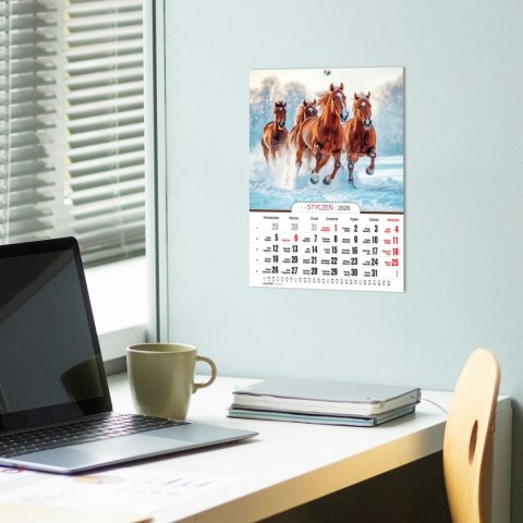 Kalendarz ścienny A4 KONIE A4 Press (5904830713398) Kalendarz ścienny A4 KONIE A4 Press (5904830713398)