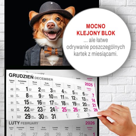 Kalendarz ścienny PIES 310mm x 790mm Press Kalendarz ścienny PIES 310mm x 790mm Press