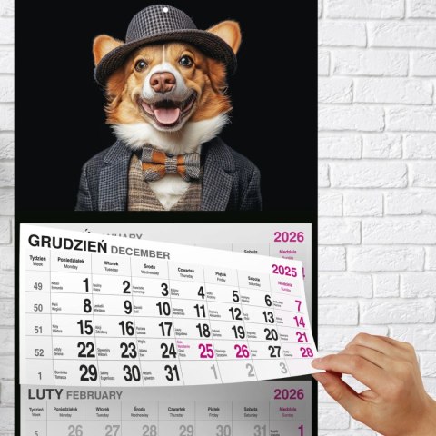 Kalendarz ścienny PIES 310mm x 790mm Press Kalendarz ścienny PIES 310mm x 790mm Press