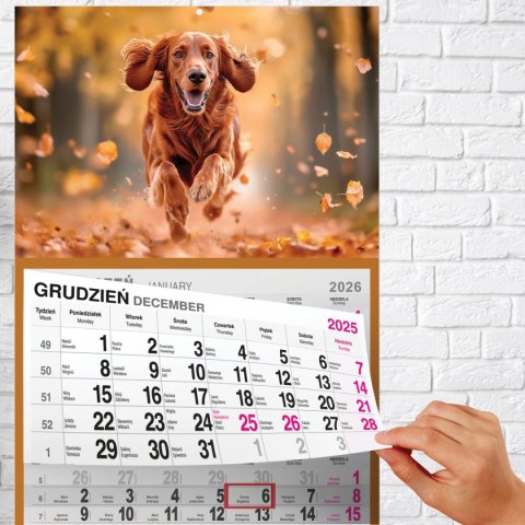 Kalendarz ścienny PIES A5 210mm x 450mm Press Kalendarz ścienny PIES A5 210mm x 450mm Press