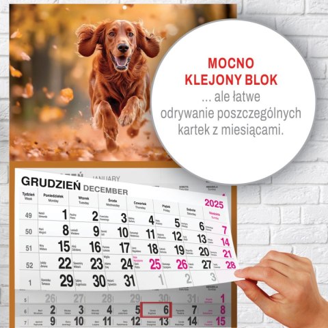 Kalendarz ścienny PIES A5 210mm x 450mm Press Kalendarz ścienny PIES A5 210mm x 450mm Press