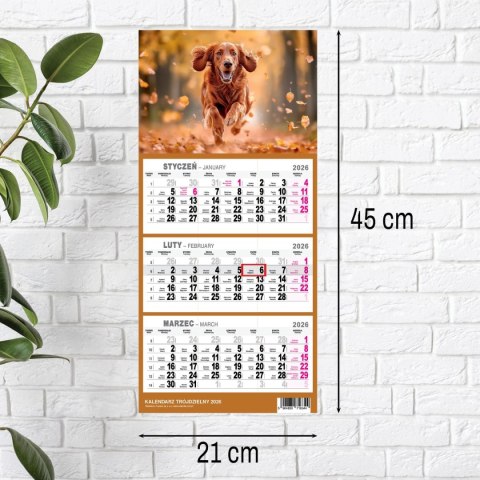 Kalendarz ścienny PIES A5 210mm x 450mm Press Kalendarz ścienny PIES A5 210mm x 450mm Press