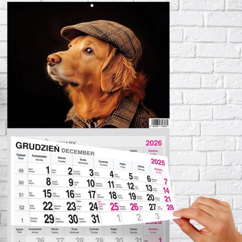 Kalendarz ścienny PREMIUM trójdzielny A4 Press (PIES) Kalendarz ścienny PREMIUM trójdzielny A4 Press (PIES)