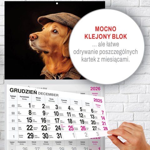 Kalendarz ścienny PREMIUM trójdzielny A4 Press (PIES) Kalendarz ścienny PREMIUM trójdzielny A4 Press (PIES)