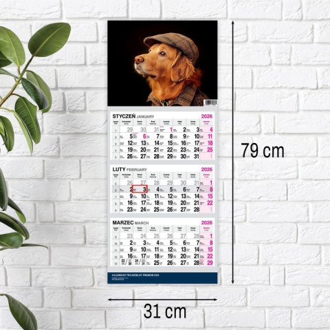Kalendarz ścienny PREMIUM trójdzielny A4 Press (PIES) Kalendarz ścienny PREMIUM trójdzielny A4 Press (PIES)
