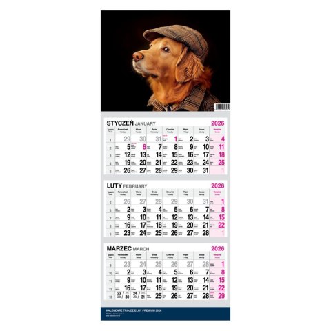 Kalendarz ścienny PREMIUM trójdzielny A4 Press (PIES) Kalendarz ścienny PREMIUM trójdzielny A4 Press (PIES)