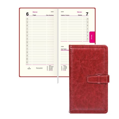 Organizer ORGANIZER 3/4 B5 (mix) Press (dzienny) Organizer ORGANIZER 3/4 B5 (mix) Press (dzienny)