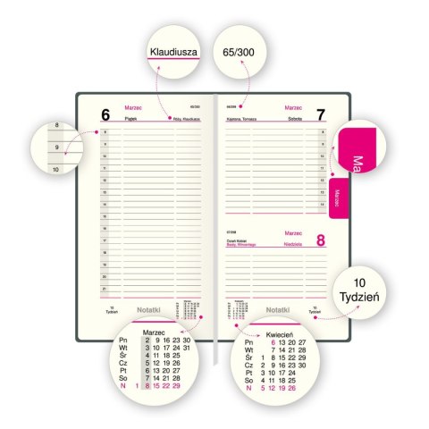 Organizer ORGANIZER 3/4 B5 (mix) Press (dzienny) Organizer ORGANIZER 3/4 B5 (mix) Press (dzienny)