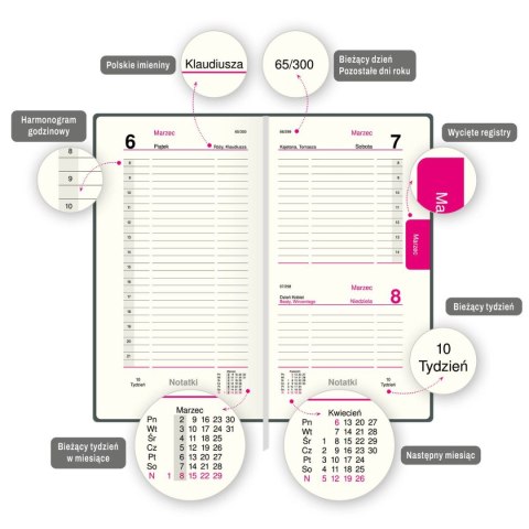 Organizer ORGANIZER 3/4 B5 (mix) Press (dzienny) Organizer ORGANIZER 3/4 B5 (mix) Press (dzienny)