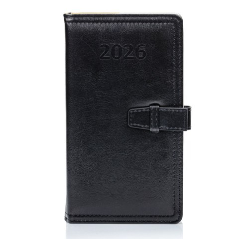 Organizer ORGANIZER 3/4 B5 (mix) Press (dzienny) Organizer ORGANIZER 3/4 B5 (mix) Press (dzienny)