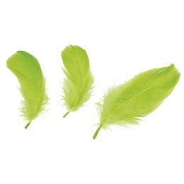 Piórka Craft-Fun Series limonka Titanum