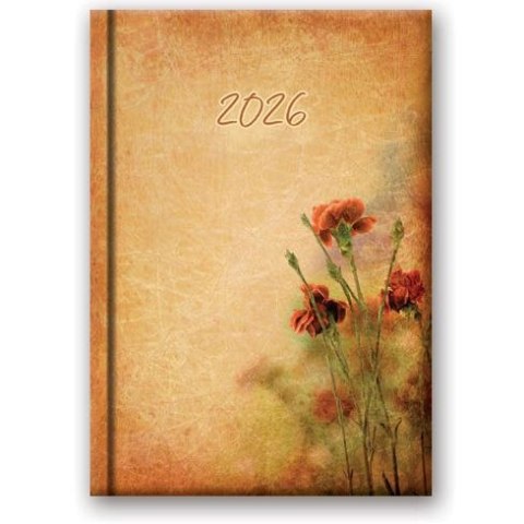 Kalendarz książkowy (terminarz) WYCINANKA B6 Lucrum (41DS) Kalendarz książkowy (terminarz) WYCINANKA B6 Lucrum (41DS)