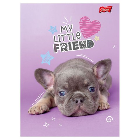 Zeszyt MY LITTLE FRIEND A5 32k. 70g krata Unipap Zeszyt MY LITTLE FRIEND A5 32k. 70g krata Unipap