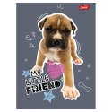 Zeszyt My Little Friend Unipap