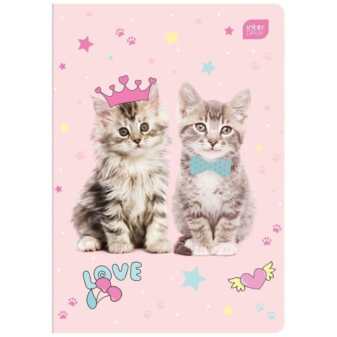 Zeszyt PP MAGICZNY A5 16k. 70g KRATKA Zeszyt PP MAGICZNY A5 16k. 70g KRATKA