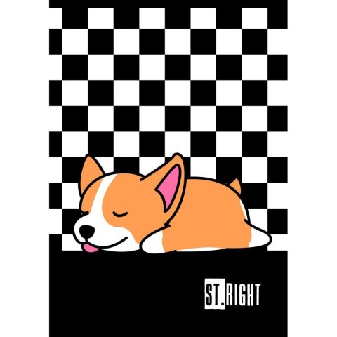 Zeszyt St.Right A5 32k. 70g krata Unipap