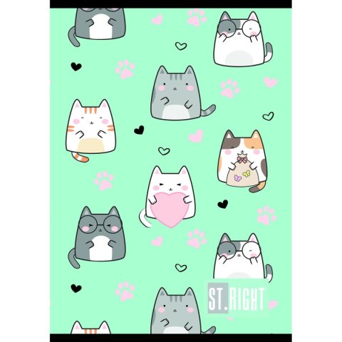 Zeszyt St.Right A5 32k. 70g krata Unipap