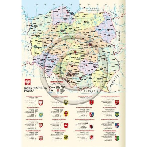 Kalendarz książkowy (terminarz) A6 Lucrum (TS11) Kalendarz książkowy (terminarz) A6 Lucrum (TS11)