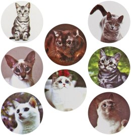 Naklejka (nalepka) Craft-Fun Series Koty Naklejki na rolce Titanum (25JT003)