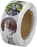 Naklejka (nalepka) Craft-Fun Series Koty Naklejki na rolce Titanum (25JT003)