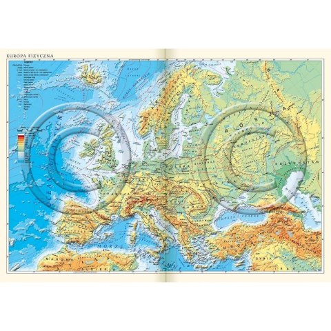 Kalendarz książkowy (terminarz) NENUFARY A5 Lucrum (21DS) Kalendarz książkowy (terminarz) NENUFARY A5 Lucrum (21DS)