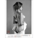 Kalendarz ścienny EROTIC ART wieloplanszowy 350mm x 300mm Jotan (WP147) Kalendarz ścienny EROTIC ART wieloplanszowy 350mm x 300mm Jotan (WP147)