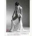 Kalendarz ścienny EROTIC ART wieloplanszowy 350mm x 300mm Jotan (WP147) Kalendarz ścienny EROTIC ART wieloplanszowy 350mm x 300mm Jotan (WP147)
