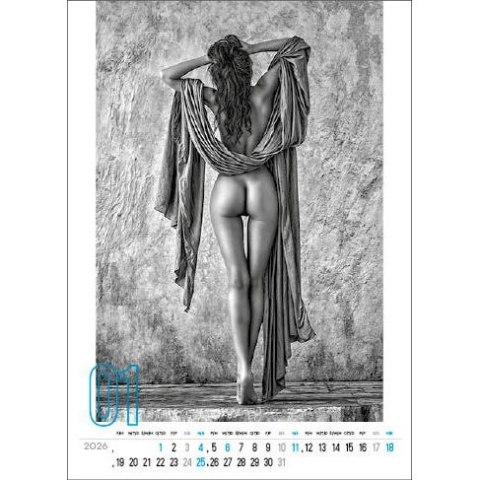 Kalendarz ścienny DERRIERE 12 KARTKOWY 33,8mm x 5000mm Jotan (WP141)