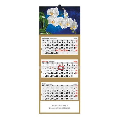 Kalendarz ścienny Orchidea TRÓJDZIELNY Jotan (T45) Kalendarz ścienny Orchidea TRÓJDZIELNY Jotan (T45)