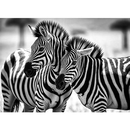 Kalendarz ścienny ZEBRY trójdzielne 320mm x 855mm Jotan (T61)