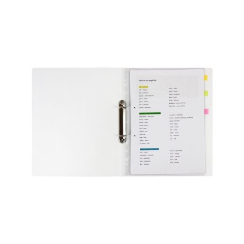 Segregator ringowy WOMEN A4 różne Biurfol (SEN-A4-42)