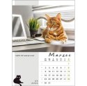 Kalendarz ścienny KOT W BIURZE WIELOPLANSZOWY A3 Jotan (WP136)
