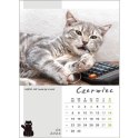 Kalendarz ścienny KOT W BIURZE WIELOPLANSZOWY A3 Jotan (WP136)