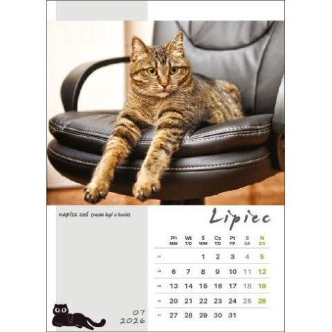 Kalendarz ścienny KOT W BIURZE WIELOPLANSZOWY A3 Jotan (WP136)