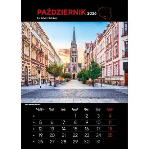 Kalendarz ścienny NAJ.MIASTA POLSKI 13 planszowe 315mm x 500mm Jotan (WP 119)