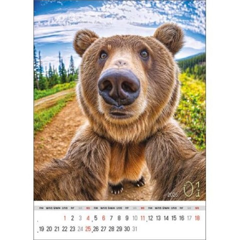 Kalendarz ścienny SELFIE 13-KARTKOWY A3+ Jotan (WP135)