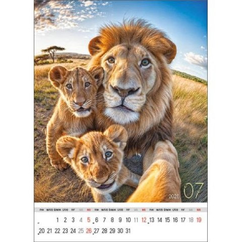 Kalendarz ścienny SELFIE 13-KARTKOWY A3+ Jotan (WP135)