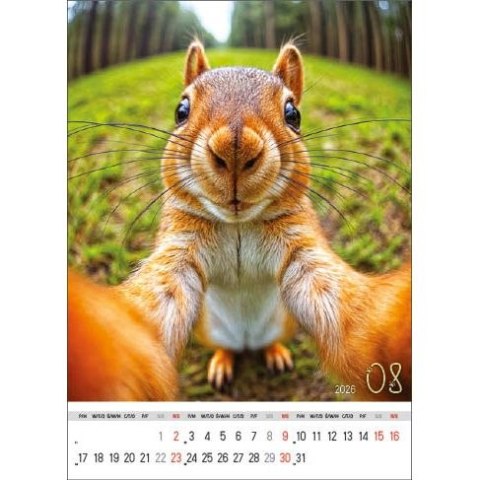 Kalendarz ścienny SELFIE 13-KARTKOWY A3+ Jotan (WP135)